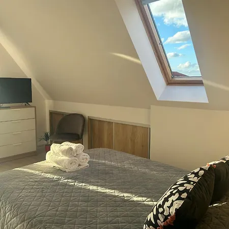 公寓 Relax La Munte 布拉索夫