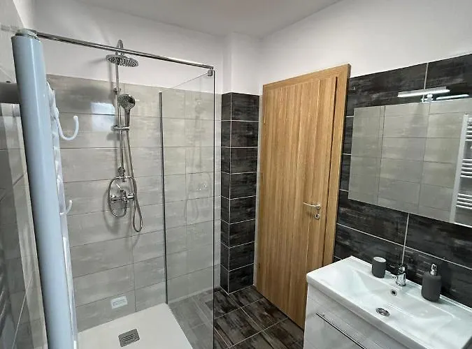 Relax La Munte 公寓 布拉索夫