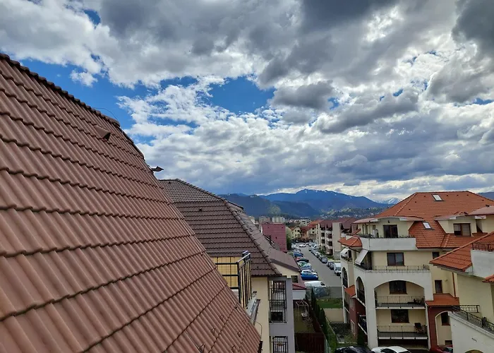 Relax La Munte 公寓 布拉索夫